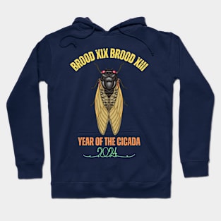 Cicada Lover Brood XIX Brood XIII Year Of The Cicada Hoodie